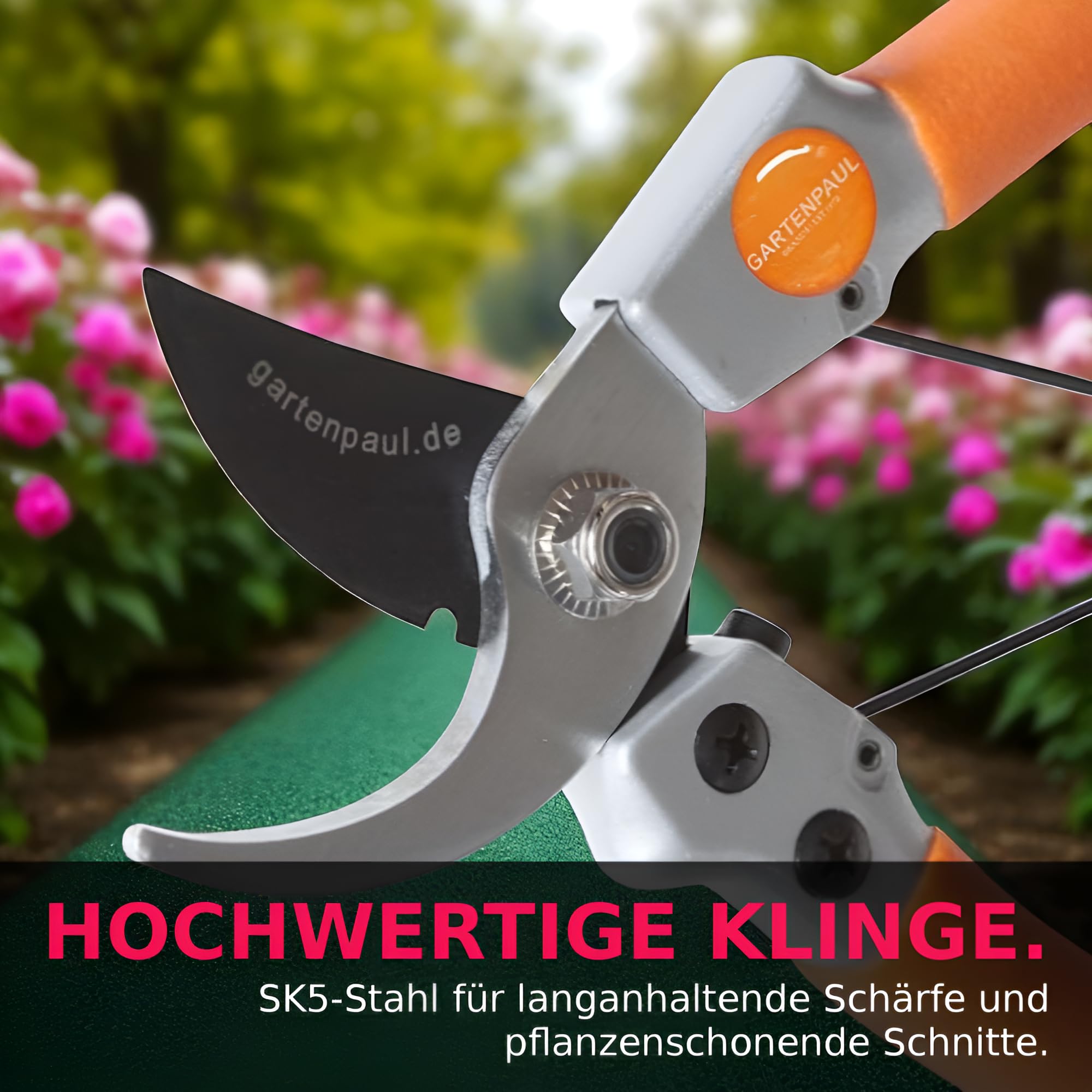 Gartenscheren Set, Premium + Damenschere, Profi-Gartenwerkzeuge Ratschen Ratsche Gartennschere klein & groß, 30 Jahre Qualität, passt zu Astschere Heckenschere Rosenschere Ernteschere