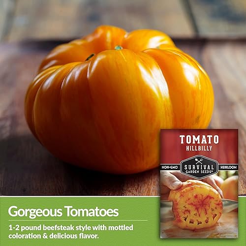 Miniatura 3 de Survival Garden Seeds - Semilla de tomate Hillbilly para plantar - Paquete con instrucciones para plantar y cultivar tomates de hoja de papa de
