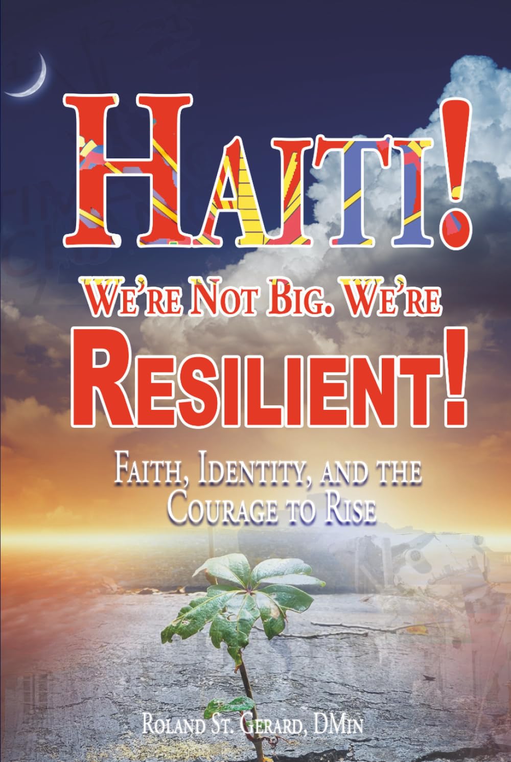 Haiti! We're Not Big. We're Resilient!: Faith, Identity, and the Courage to Rise