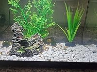 Review Image by Ajia Ajia