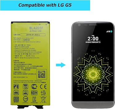 BL-42D1F Replacement Battery for LG G5/LG VS987/H820/H830/LS992/US992/H845/Dual H850/H858/H860 with Specialized Toolkit.