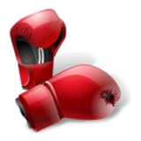 Boxing News