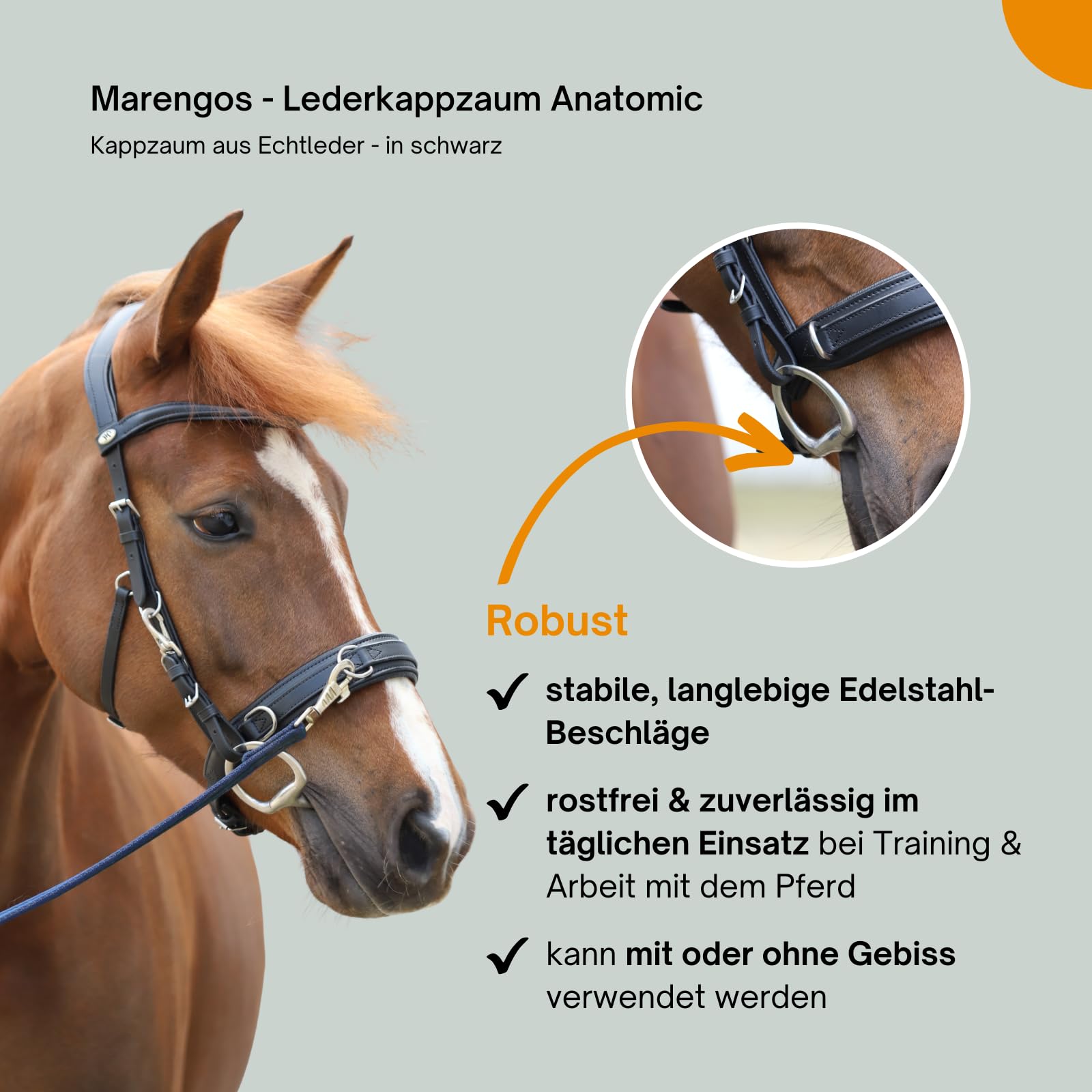 Marengos - Lederkappzaum Anatomic – Kappzaum aus Echtleder – anatomisch & gepolstert – Edelstahl-Beschläge – ideal zum Longieren & Bodenarbeit – braun o. schwarz – Pony, Warm- & Vollblut