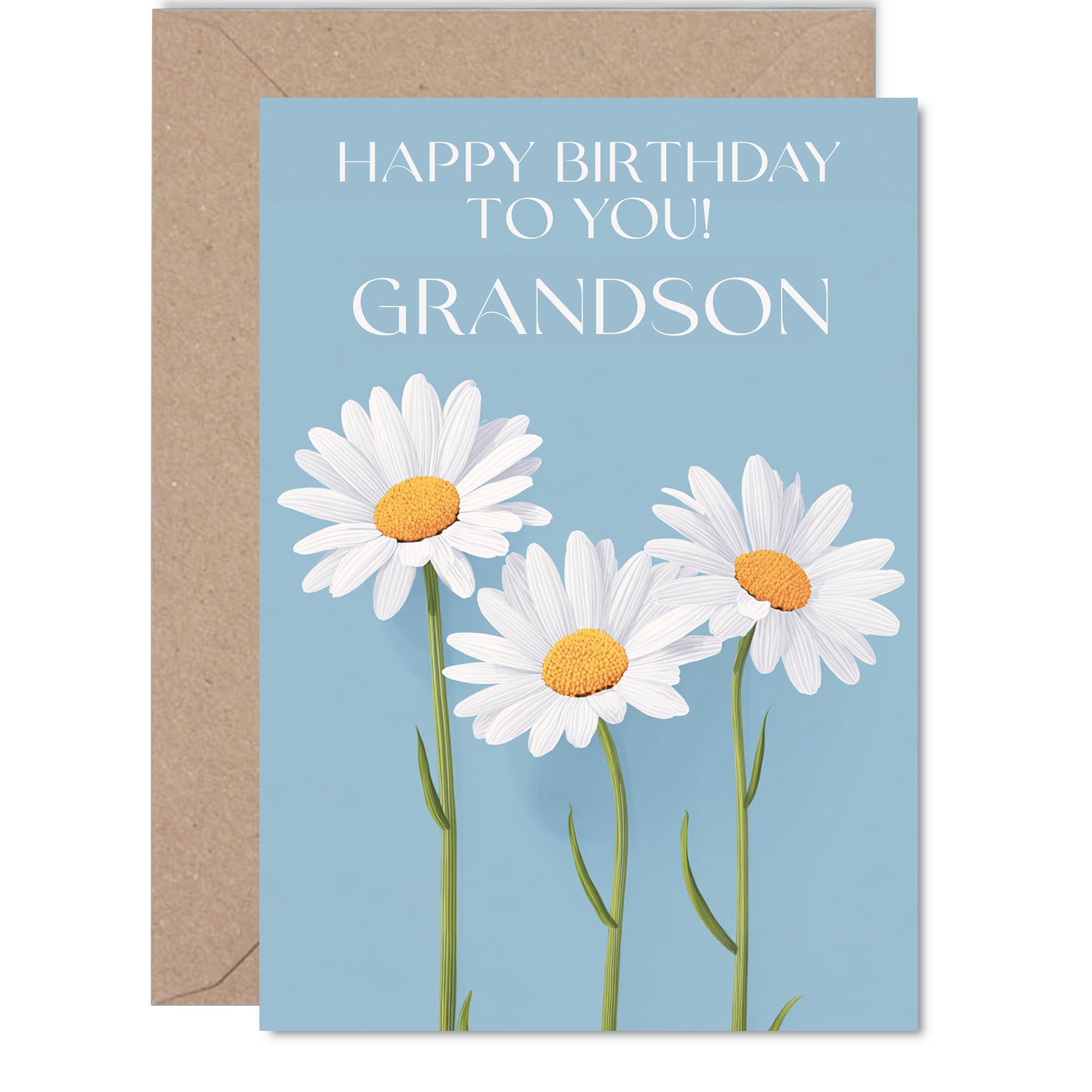Grandson Birthday Card - Wild Daisies - Happy Birthday Card for Grandson from Grandad Nanny, 5x7 Inch Floral Flowers Bday Greeting Cards