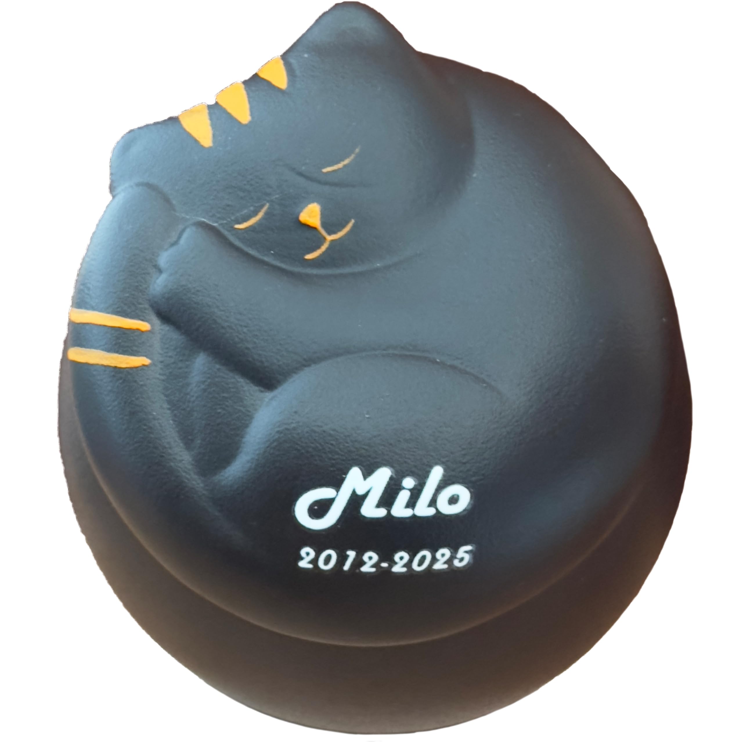 Urna per gatti,Urna per animali domestici per ceneri di gatti, personalizzate personalizzate,Urna in ceramica,Fatto a mano,Urna per piccoli animali (nero)