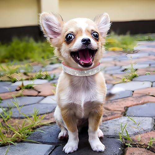 Vista 5 de Hotlion Collar de perro con diamantes de imitación con lazo para cachorros, gatitos y gatos con diamantes de cristal brillante para perros pequeños