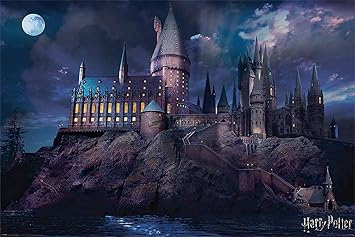 Harry Potter - Movie Poster Print Hogwarts By Night Size 36 inches x 24 inches