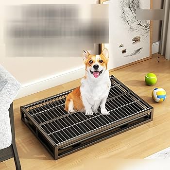 Amazon | ペット用トイレ 引き出し式犬用トイレ 犬用トイレトレー 2層