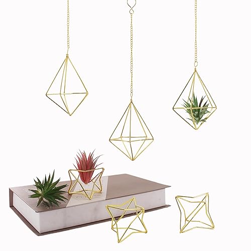 Air Plant Hangers with Chains, 6 Pcs Gold Tillandsia Holders