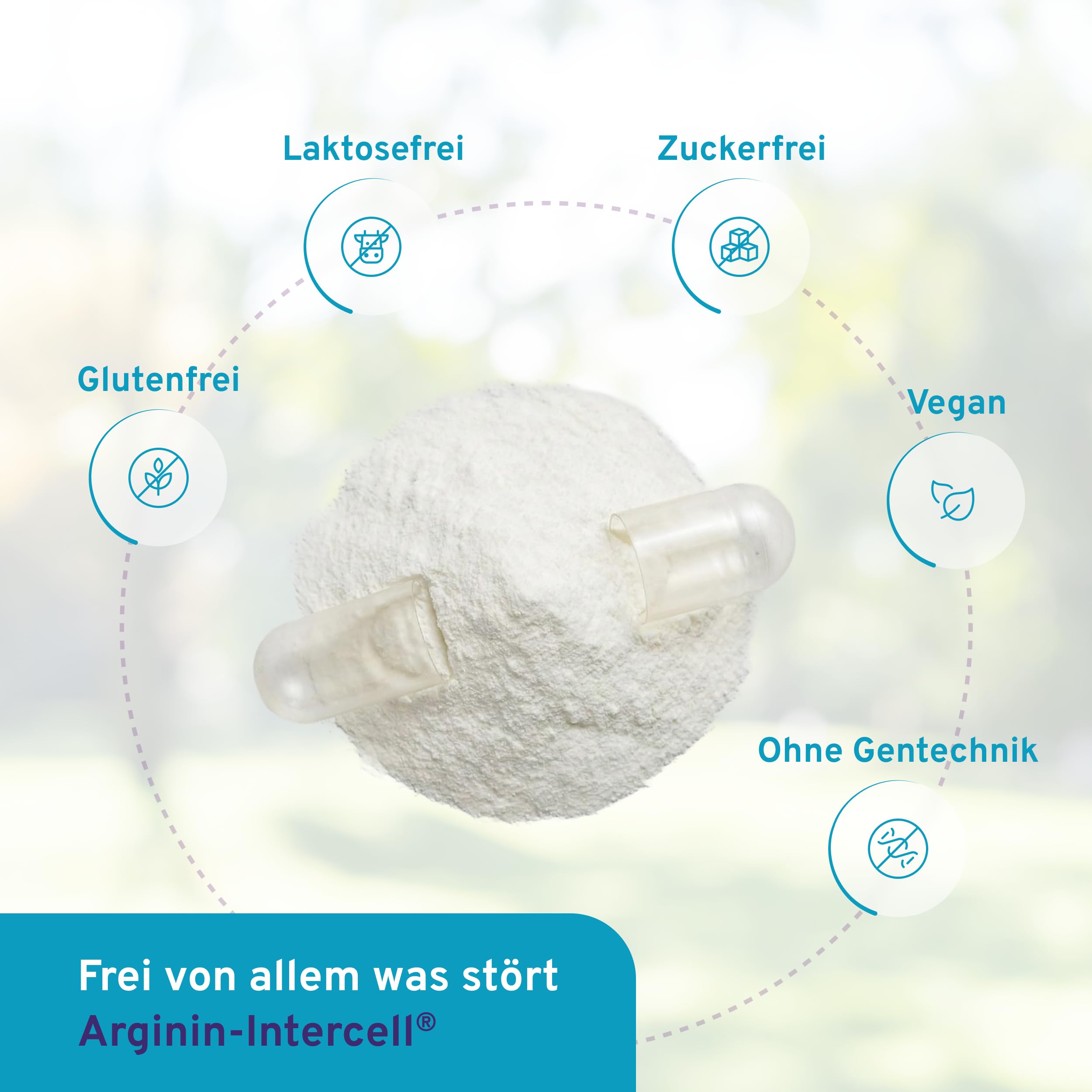 Arginin Intercell (160 Kapseln) – Reines L-Arginin Base aus pflanzlicher Fermentation (99,8%) – Hochdosiert zum Diätmanagement – Mit B6, B12 & Folsäure – Vegan