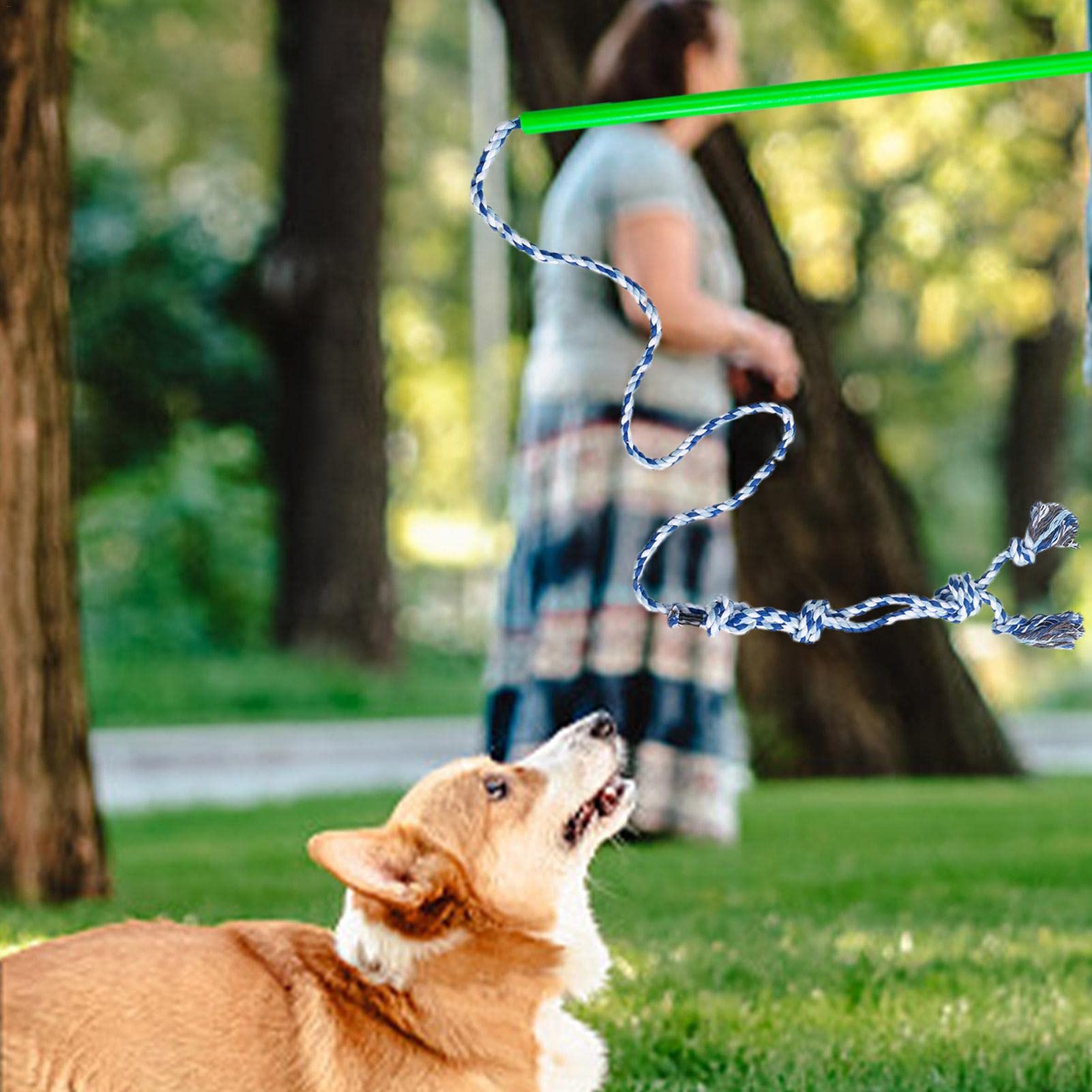 Pragmatist Flirtstange Für Hunde – Abnehmbar, Mit Robustem Seil (110 Cm), Für Training Und Spiel