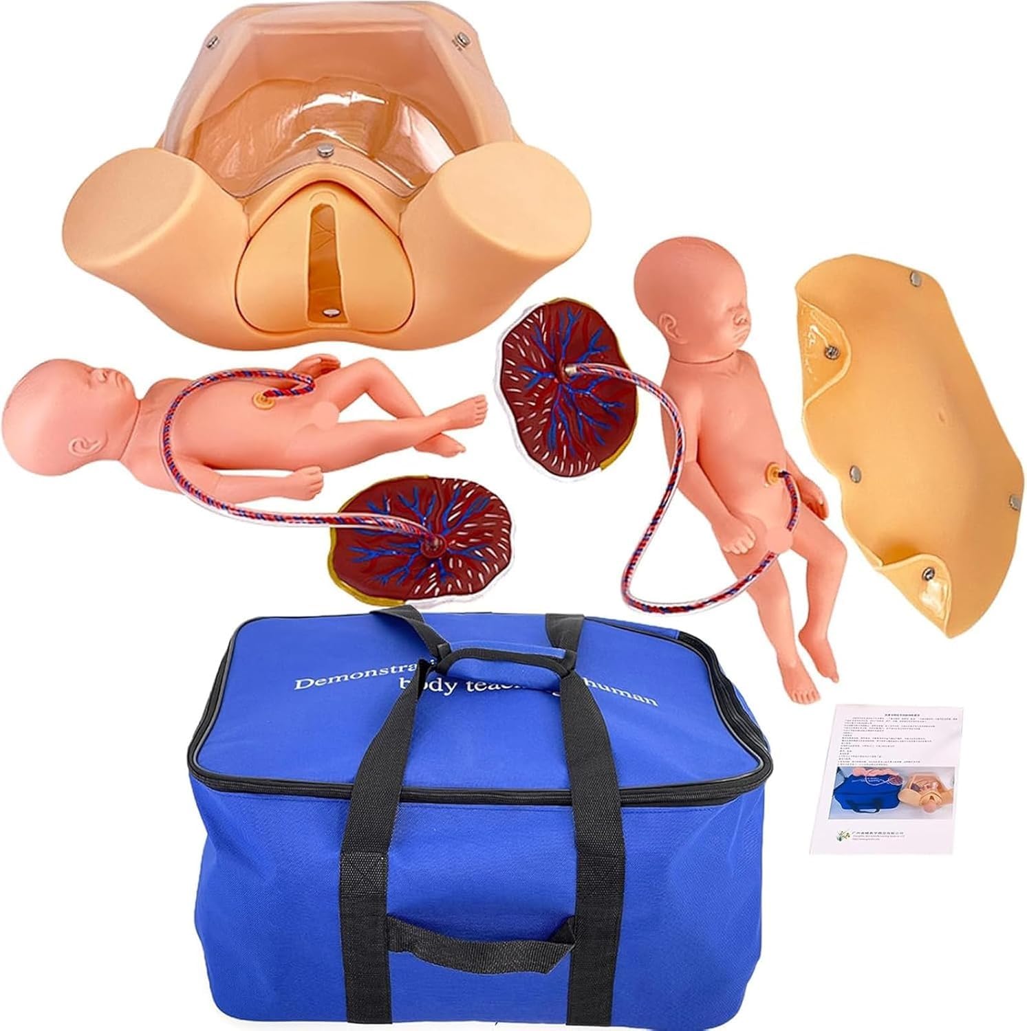 Simulador de parto - Modelo avanzado de entrenamiento de partería para educación médica, herramienta de práctica de parto gemelos de tamaño real para ginecología y enseñanza de maternidad