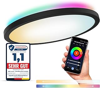 SSC-LUXon ERUNA Smart LED RGB Ceiling Light Living Room Diameter 29 cm Indirect Lighting – WLAN App Control Compatible wit…
