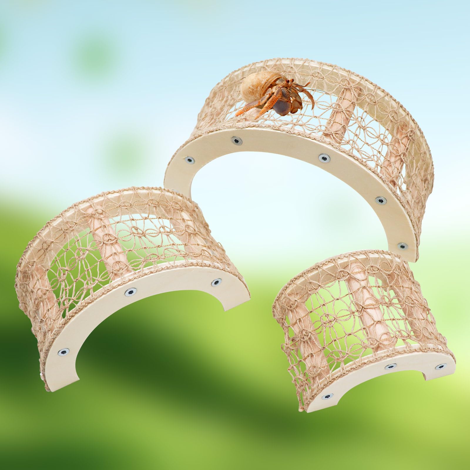 Amazon.com : 3 Pcs Hermit Crabs Climbing Toys, Natural Wooden and