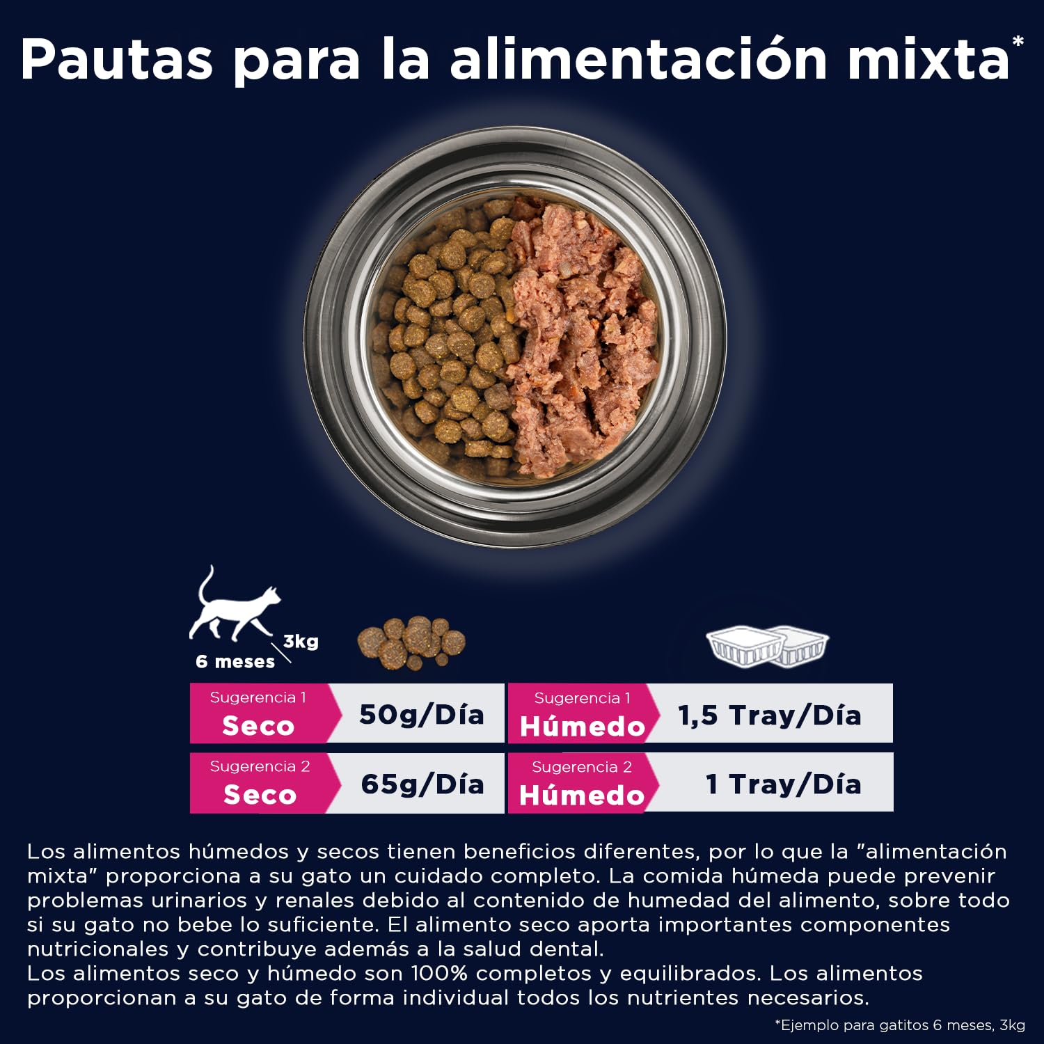 EUKANUBA Grain Free Alimento Seco para Gatitos en Crecimiento, Alimento Seco Premium Rico en Salmón para Gatitos, 10 kg