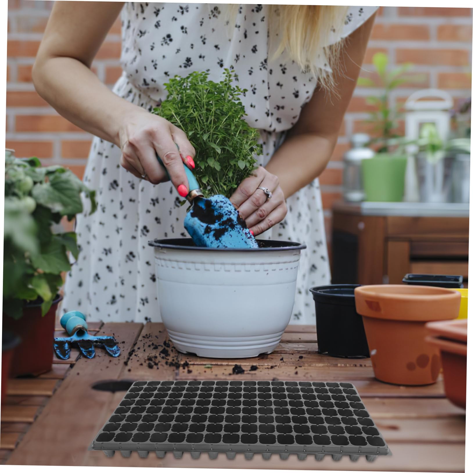 Gatuida Vassoio Germinazione PVC 128 Fori 10 Pezzi Nero Vacanze Estive | Pianta da Semina, Uso Professionale e Fai da Te Casa, 80g, Design a Celle per Radici Ordinate