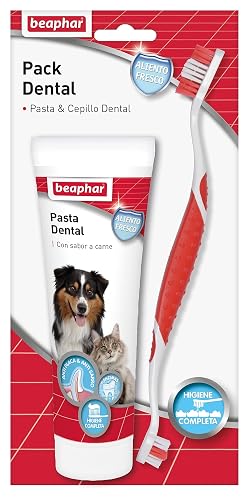 Beaphar Pack Dental con Pasta y Cepillo Dental