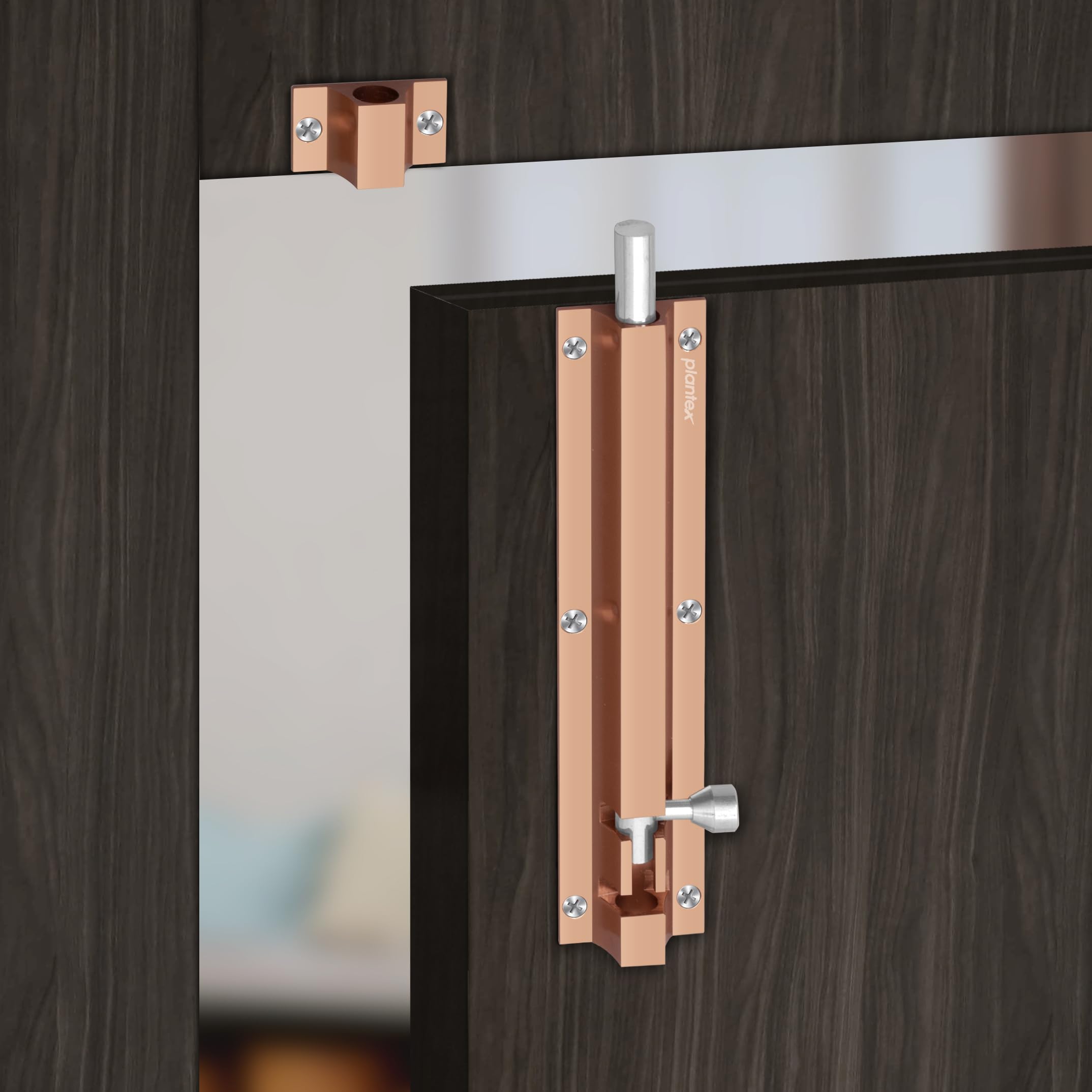 Plantex RG Tower Bolt - Secure Your Doors -5