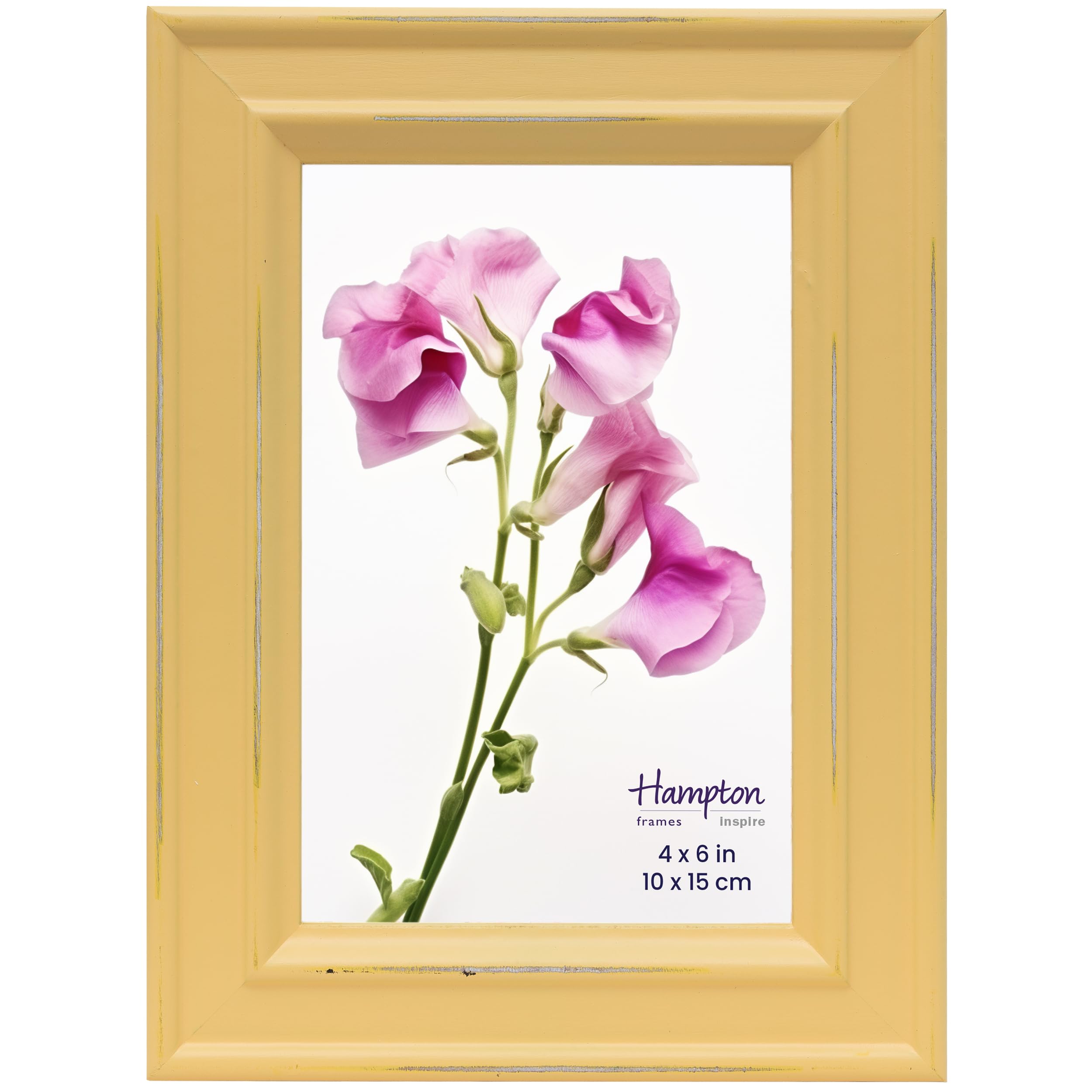 Inspire By Hampton Frames Yellow Inspire By Hampton Paloma 4X6 (10X15cm) Picture Photo Frame Glass Ibh-Pal301946y