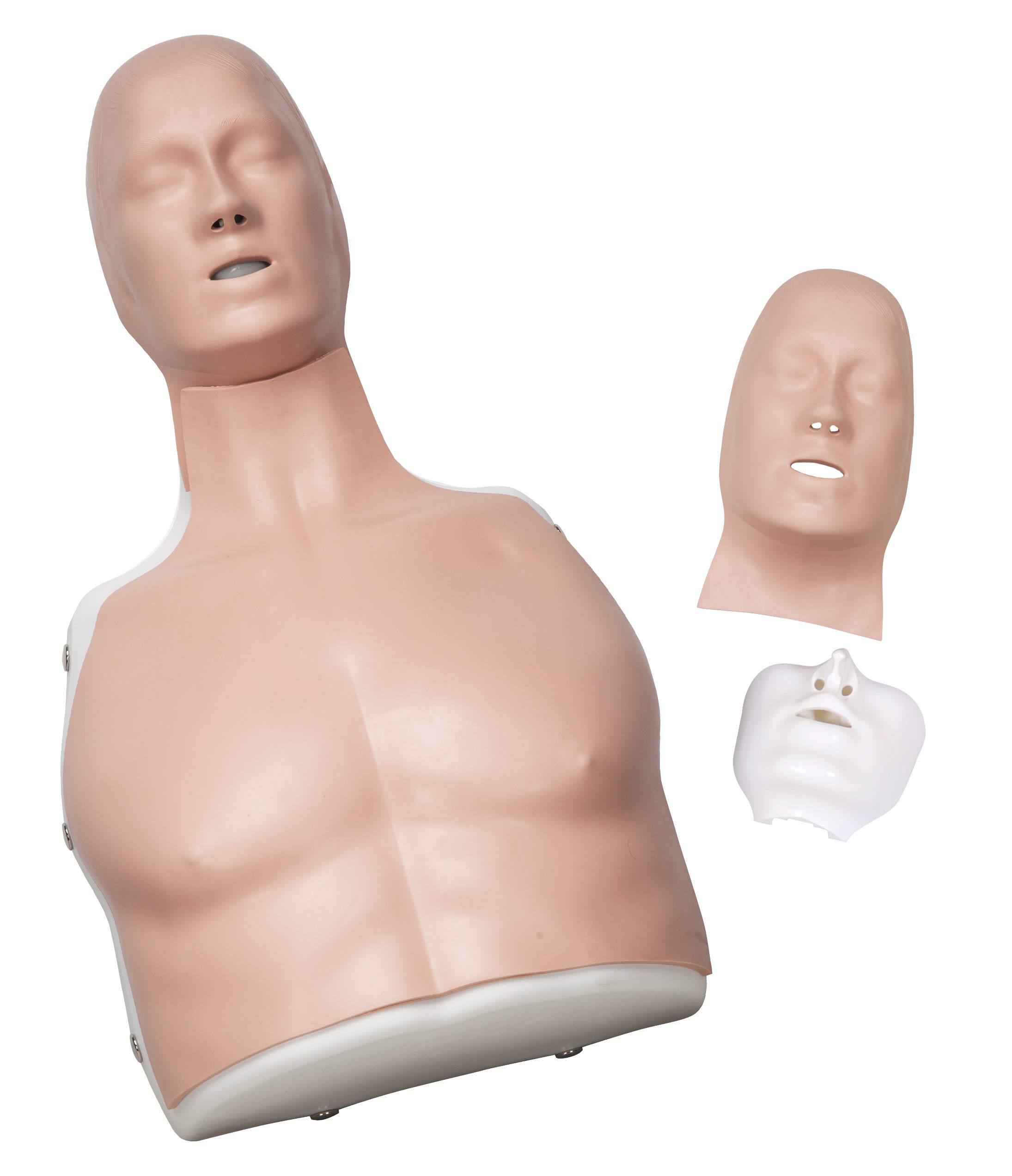 3B Scientific Basic-Life-Support Simulator “Basic Billy”, hellhäutig