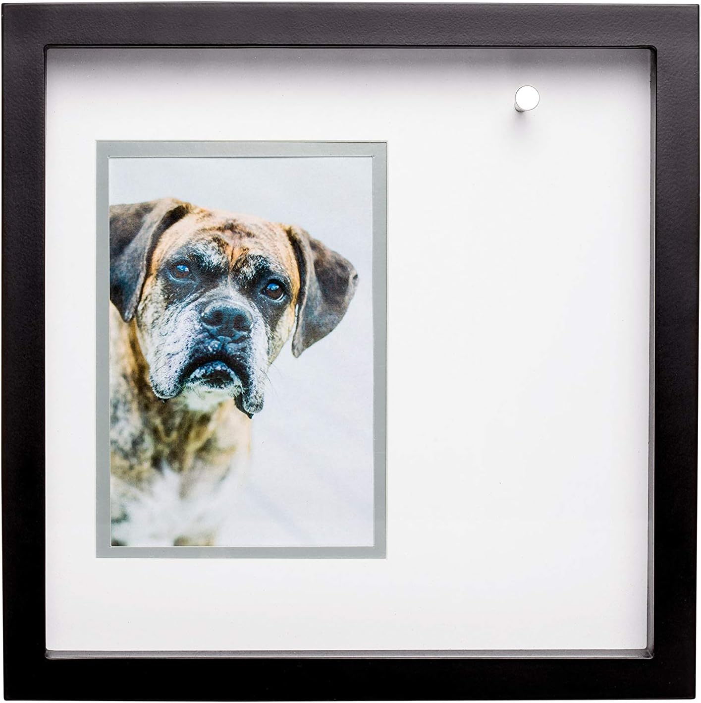 Pearhead Pet Collar Keepsake Picture Frame, Pet Memorial Frame, Dog or Cat Keepsake Memory Frame, Pet Owner Gift, 4.5" x 6.5" Photo Insert, Black