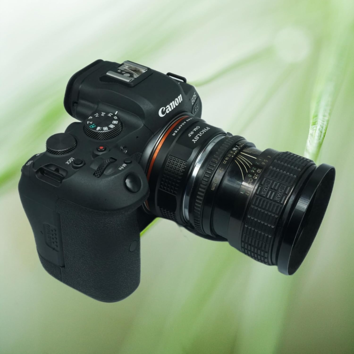 PHOLSY Lens Mount Adapter Manual Focus: Compatible with Olympus OM Lens to Canon RF (EOS R-Type) Camera Body