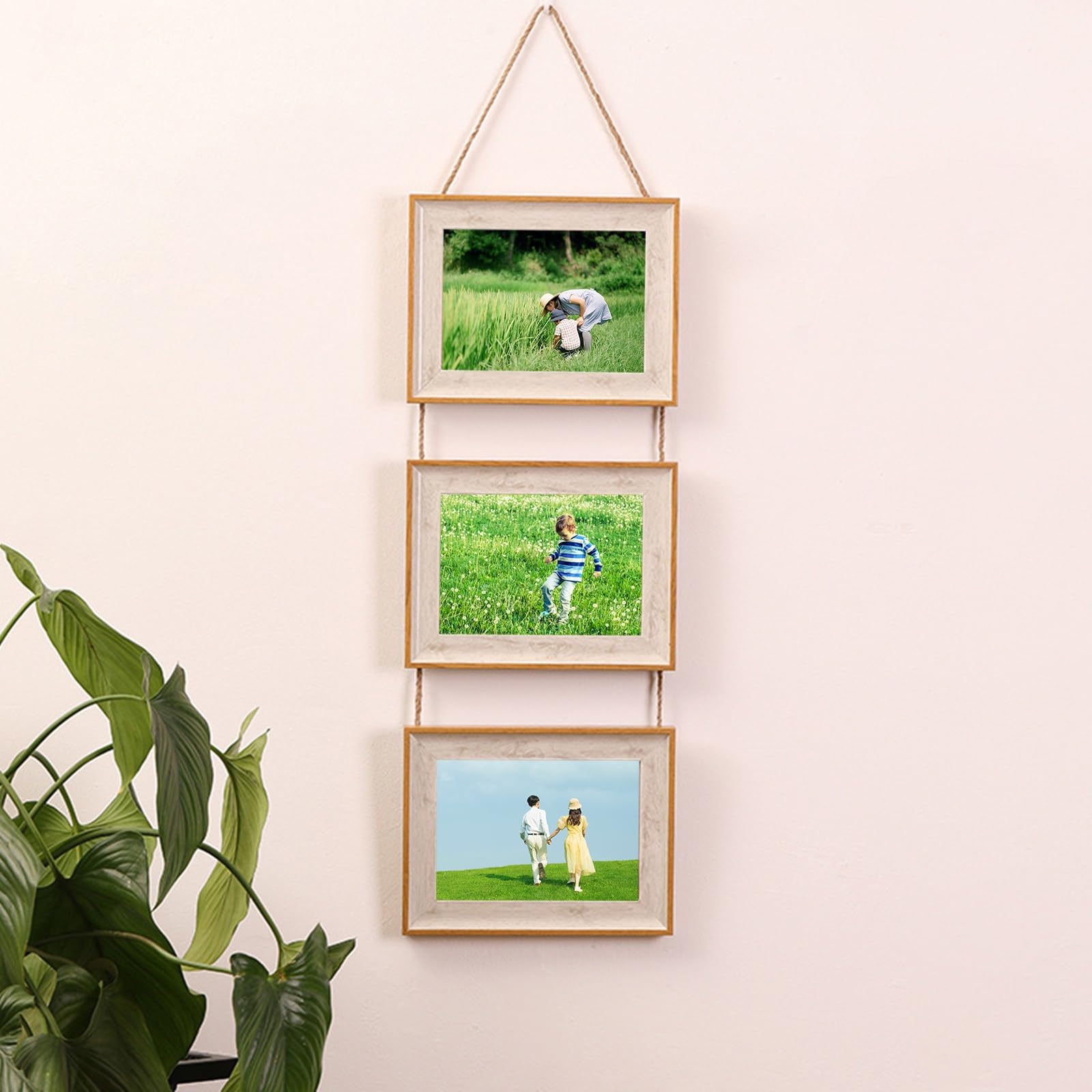 Amazon.com - Hanging 8.3x11.7 Certificate Frame Horizontal, Resin
