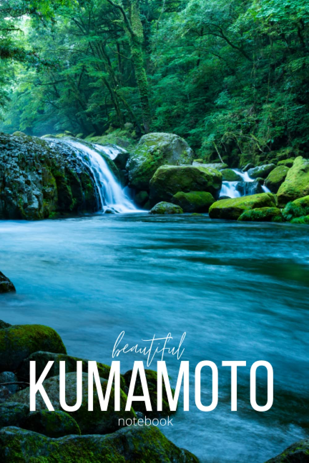 Beautiful Kumamoto 6" x 9" notebook