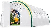 Quictent Premium 20x10x6.6 FT Walk-in Greenhouse with Patented Dual Swing Doors, Reinforced Hoop Frame & UV PE Cover - Outdoor Garden Plant Shelter