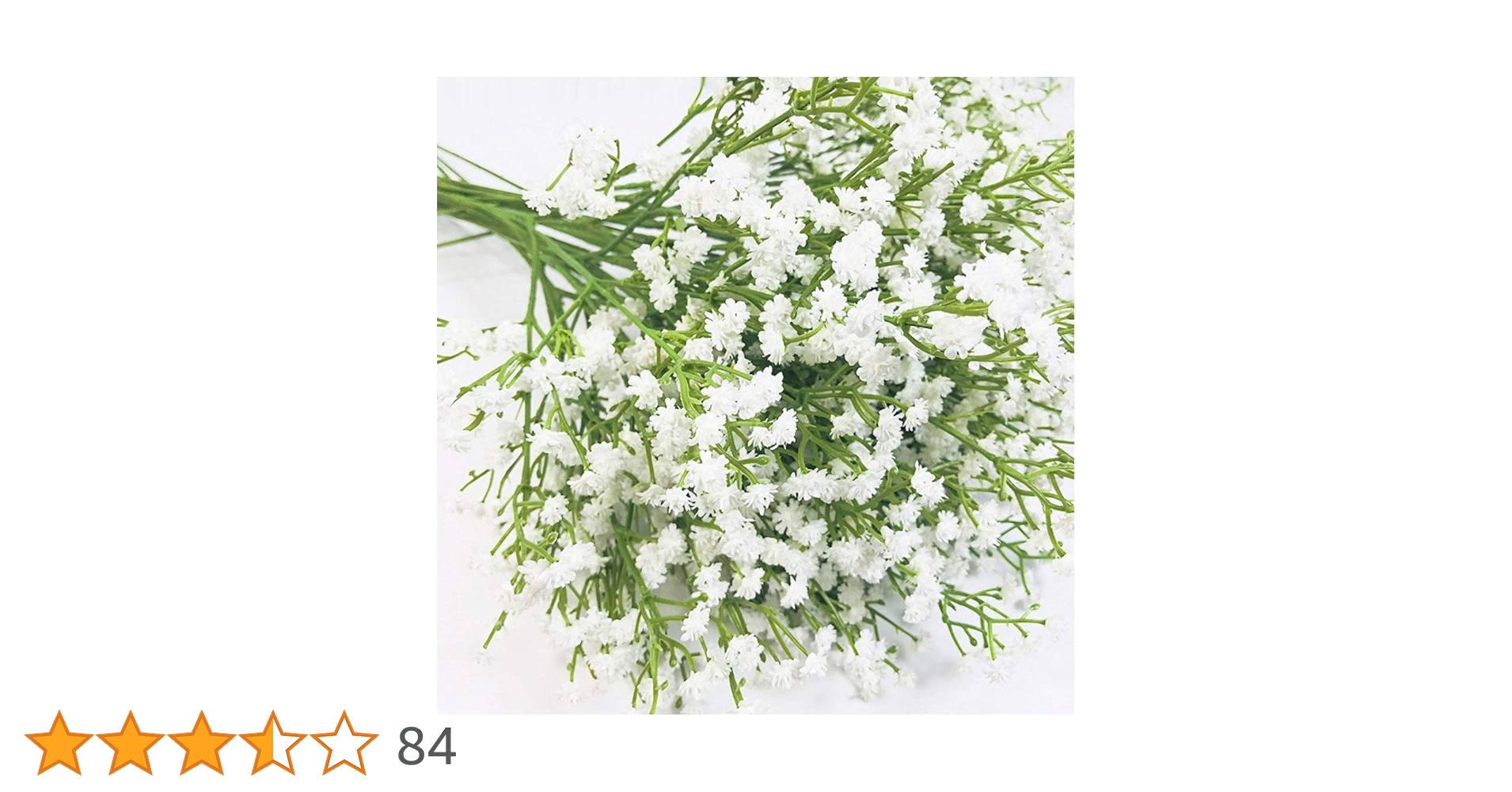 かすみそう アンドロサケ・ラヌギノーサ「ユキカスミソウ