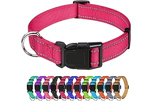 Adjustable and Durable Dog Collar with Reflective Safety Design for Medium Dogs