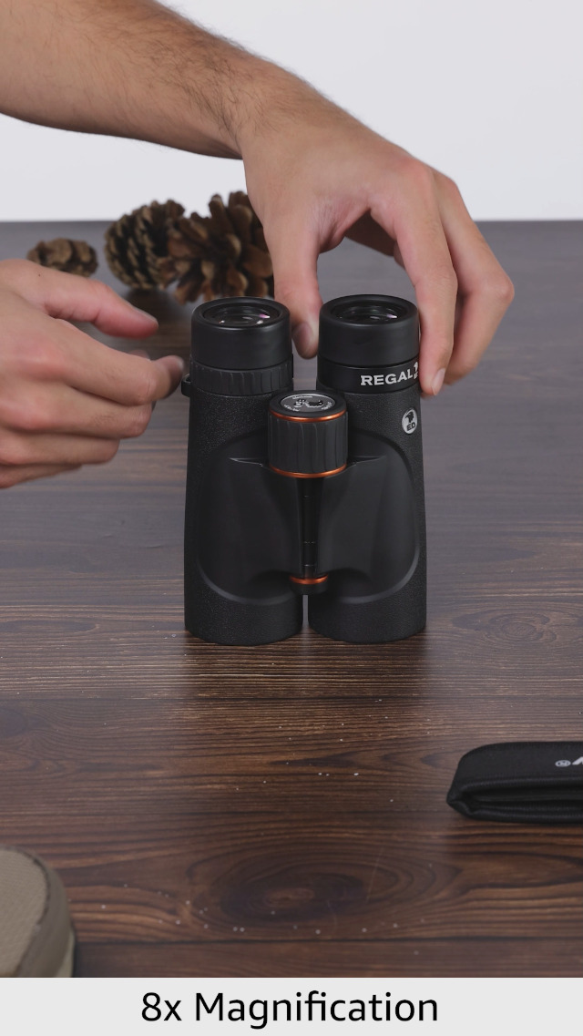 Amazon.com: Celestron: Regal ED