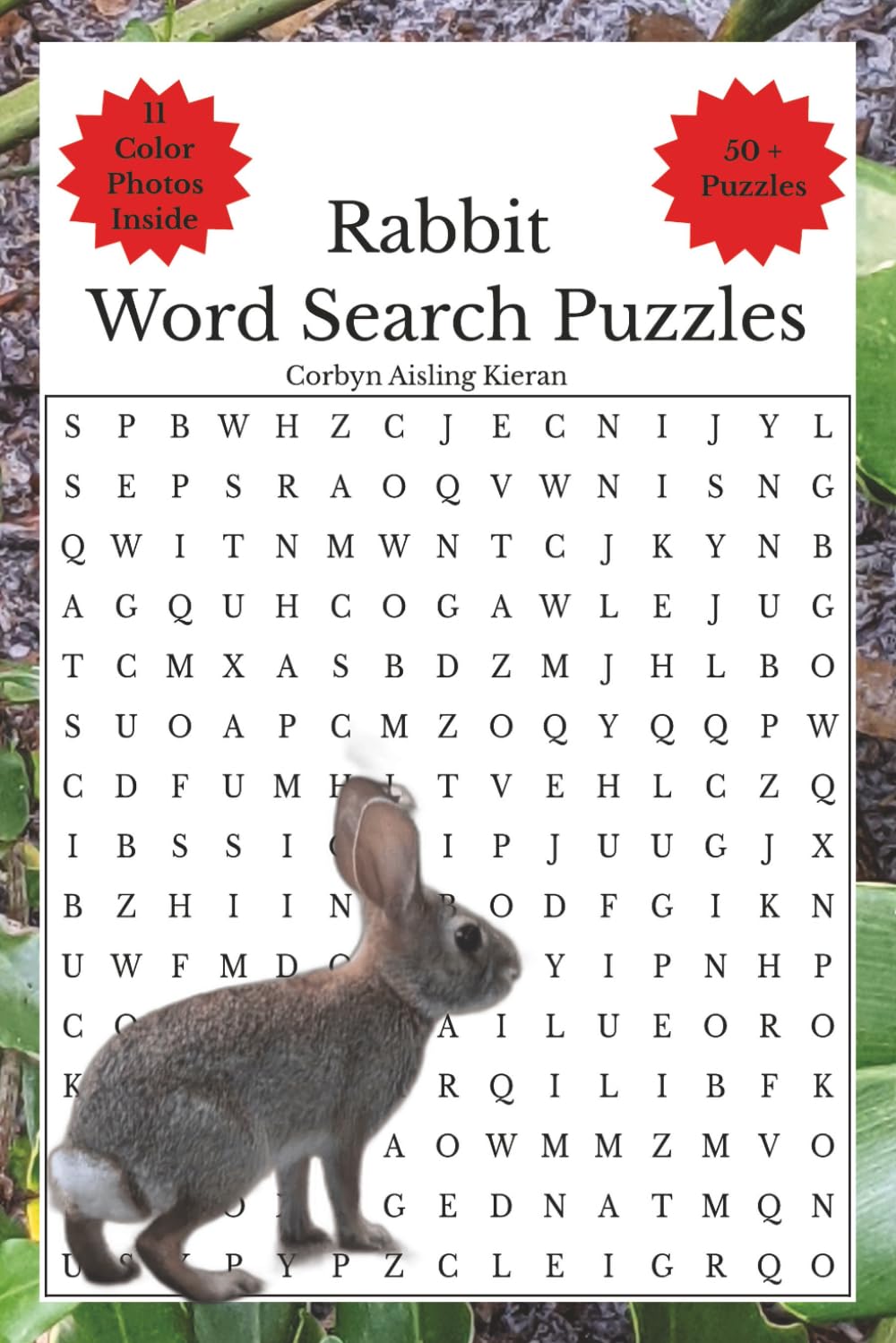 Rabbit Word Search Puzzles
