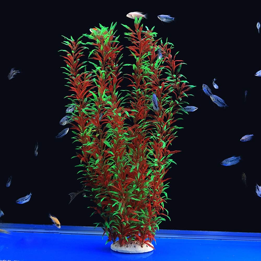 Plastic Plants Wine