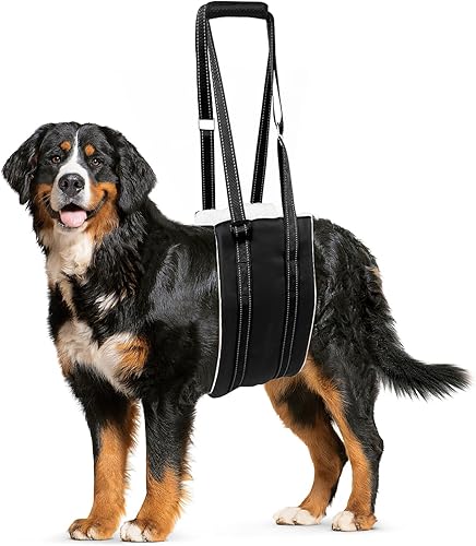 Arnés de elevación para perros, ajustable y cómodo arnés para perro con asa para rodilla de perro grande para desgarro de ACL, patas traseras