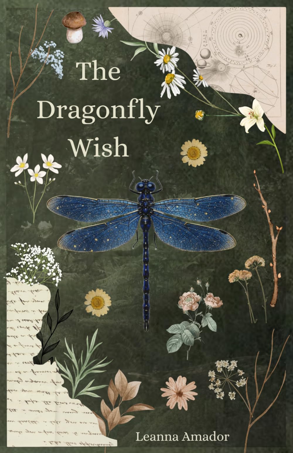 The Dragonfly Wish (Wishes and Gifts Duology)