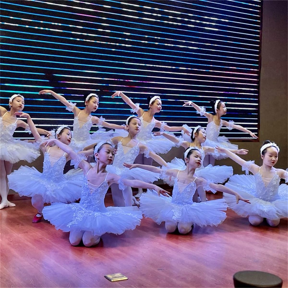 Ballerina Party Kleid Madchen Professionelles Ballett Tutu Platte Pfannkuchen Tutu Kind Ballett Tanzwettbewerb Kostum