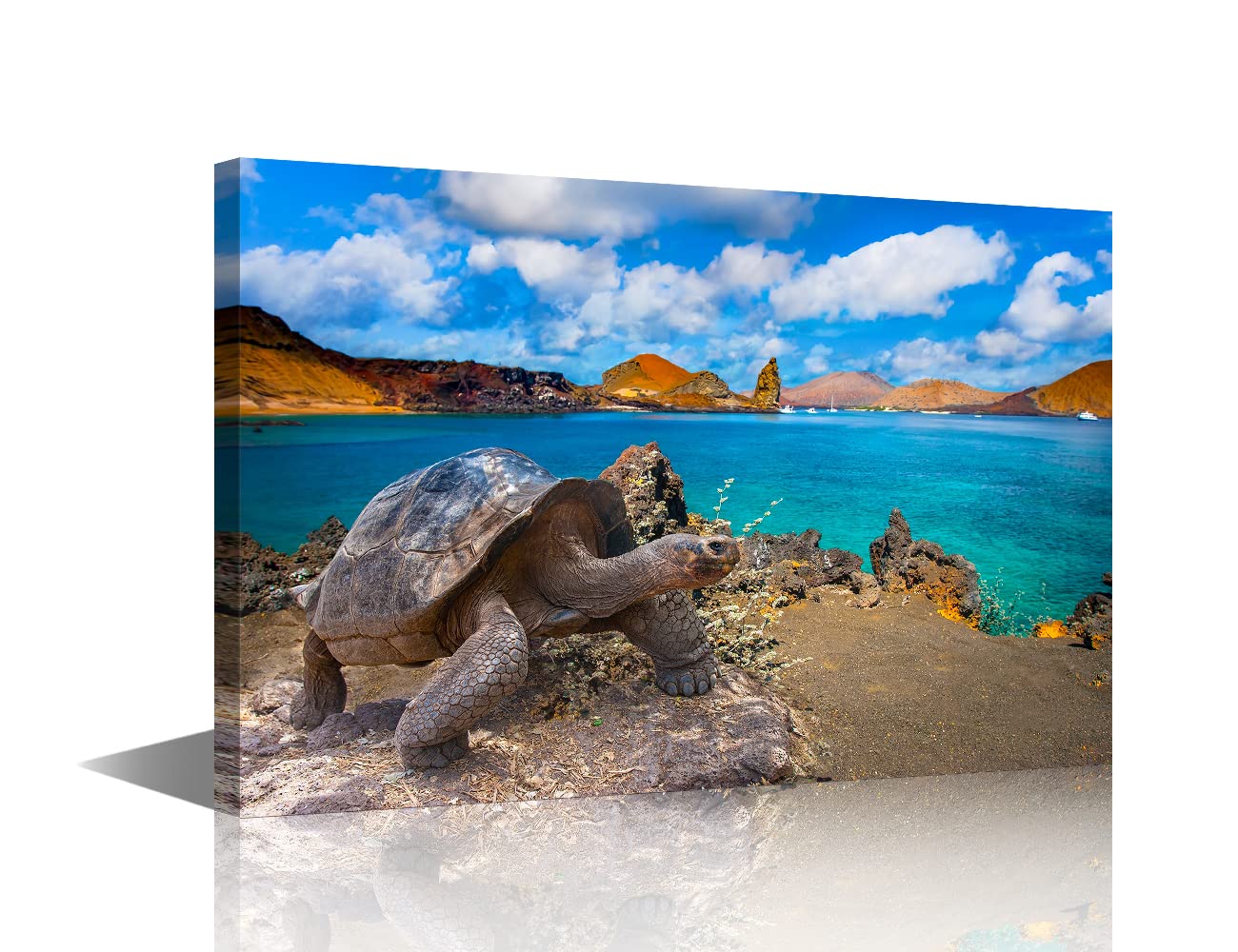 Canvas Wall Art Wall Décor for Living Room Galapagos Islands Big turtle Canvas Painting for Bathroom Bedroom Kitchen Office Decor Home Decorations 8x12inch