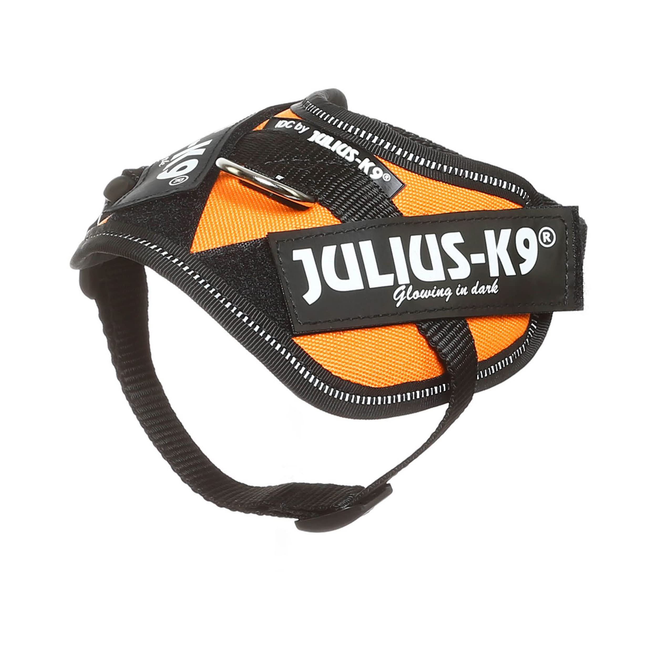 Julius-K9 IDC Powerharness, Camouflage, M/0 — view 654