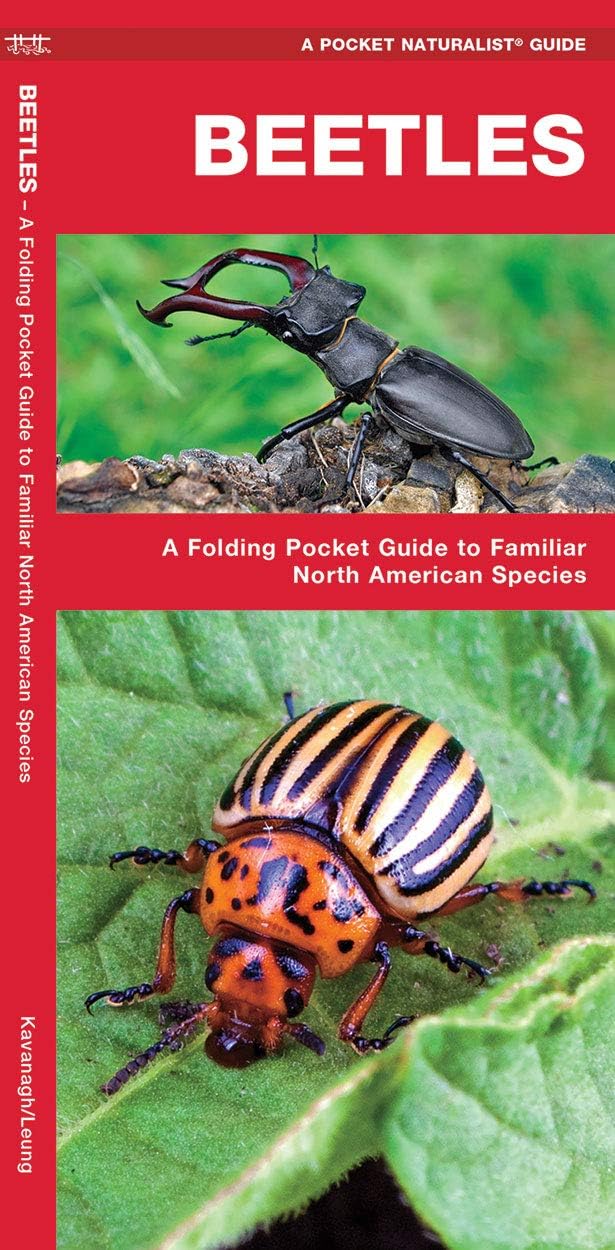 Beetles: A Folding Pocket Guide to Familiar North American Species (A Pocket Naturalist Guide) Pamphlet – Folded Map, July 11, 2016
