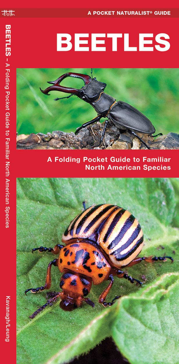 Beetles: A Folding Pocket Guide to Familiar North American Species (A Pocket Naturalist Guide) Pamphlet – Folded Map, July 11, 2016