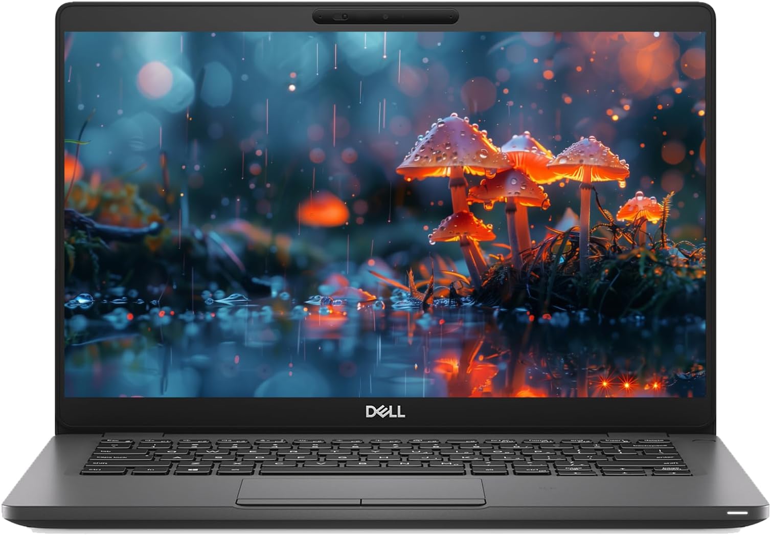 Dell (Refurbished) Latitude 5300 Business Laptop PC. | intel Quad-Core℠i5-8365U Up to 4.10 GHz. CPU | 16GB RAM | 512GB SSD | 13.3 inch Non-Touch Display | Windows 10 Pro