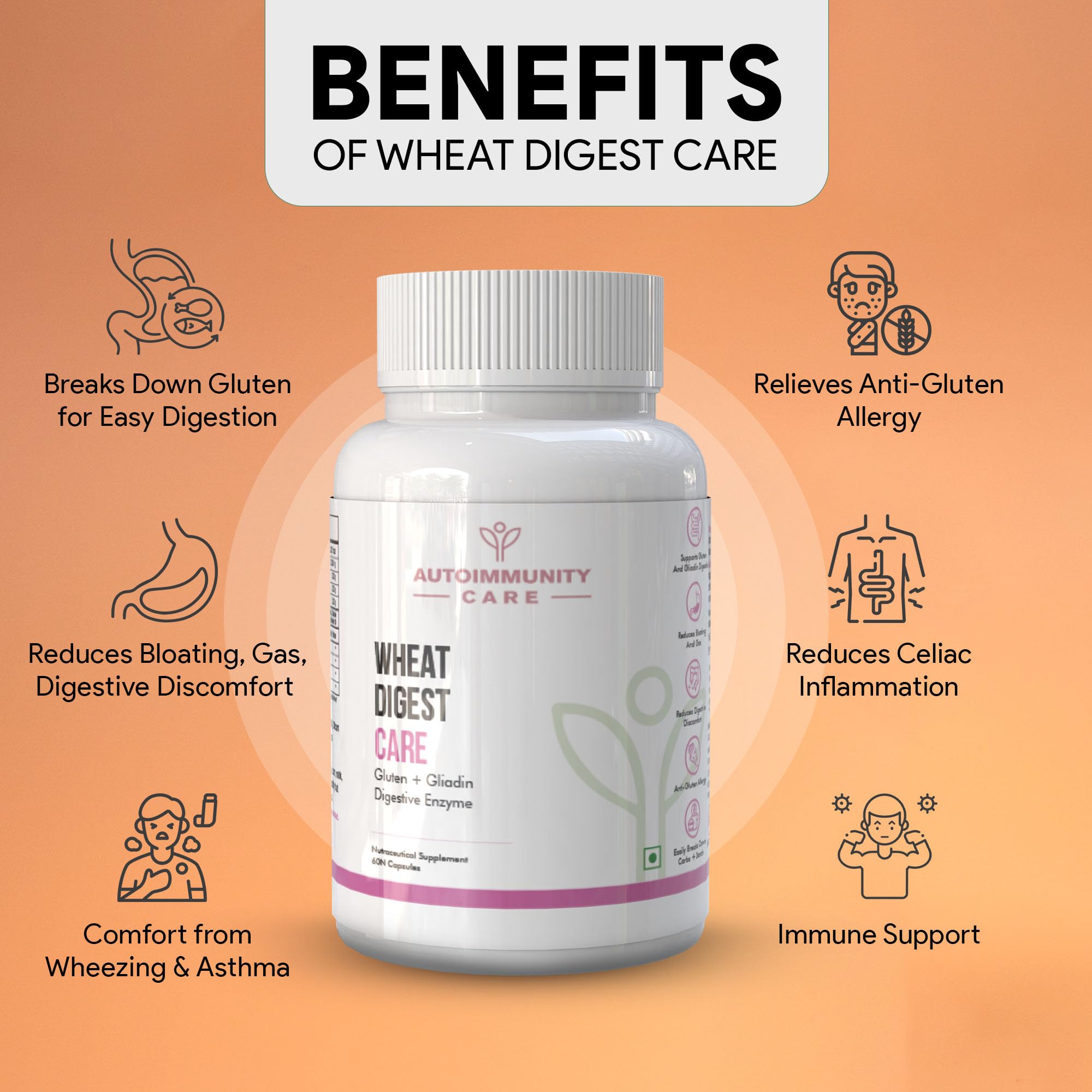 Autoimmunity Care Wheat Digest Care |Wheat Gluten Digestive Enzyme Supplement for Wheat & Gluten |Helps Digest Wheat, Maida & Grains |Digestive Enzymes for Bloating, Gas & Gut Health | 60 Caps & Doses 1
