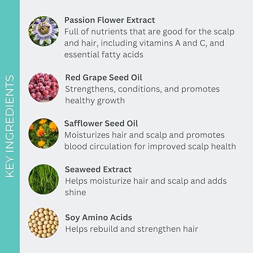 Miniatura 6 de EVOLVh - Champú hidratante Natural UltraShine  Vegano no tóxico cuidado del cabello limpio 85 fl oz  85fl oz