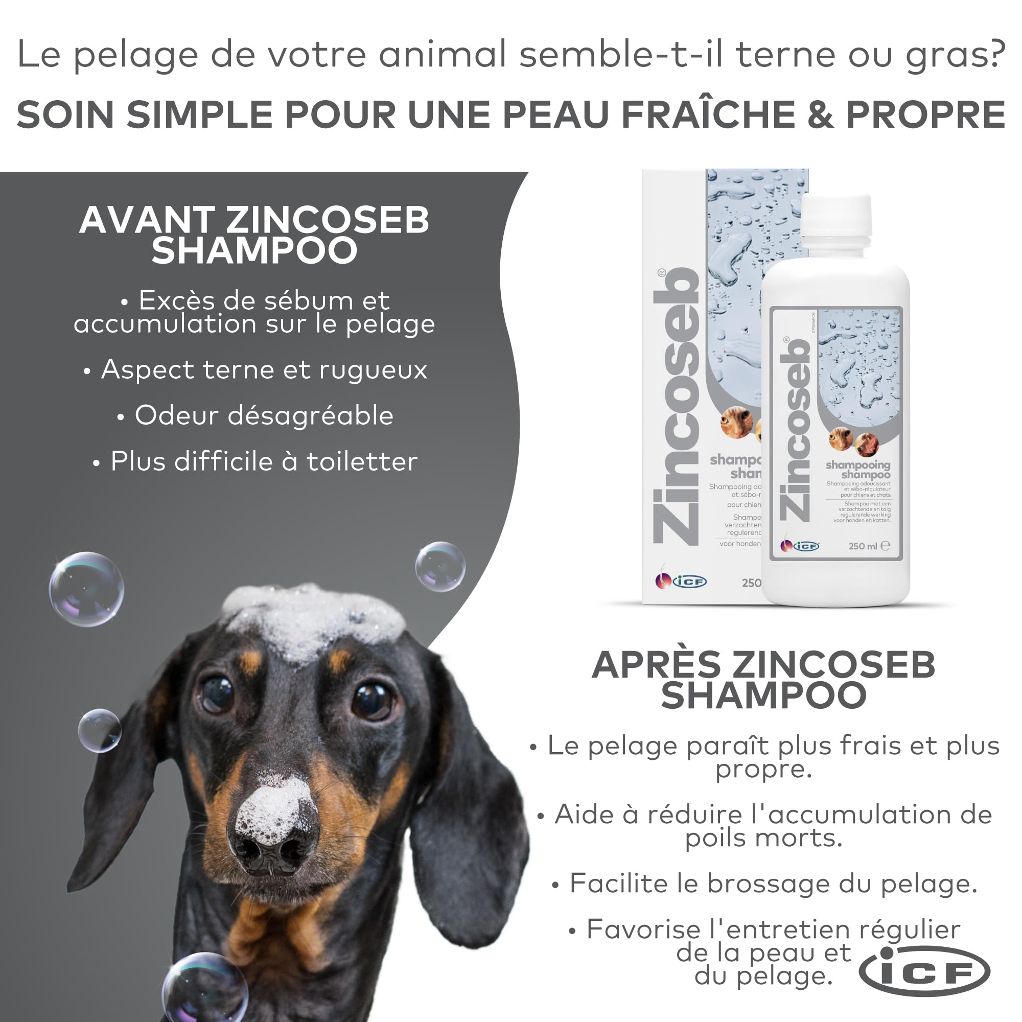 Zincoseb Shampooing | Shampoing Sébo-Régulateur et Hydratant pour Chien et Chat | Poil Sec, Terne ou Gras, Pellicules, Mauvaises Odeurs | Idéal pour la Peau Sensible du Chiot et Chaton | 250 ML