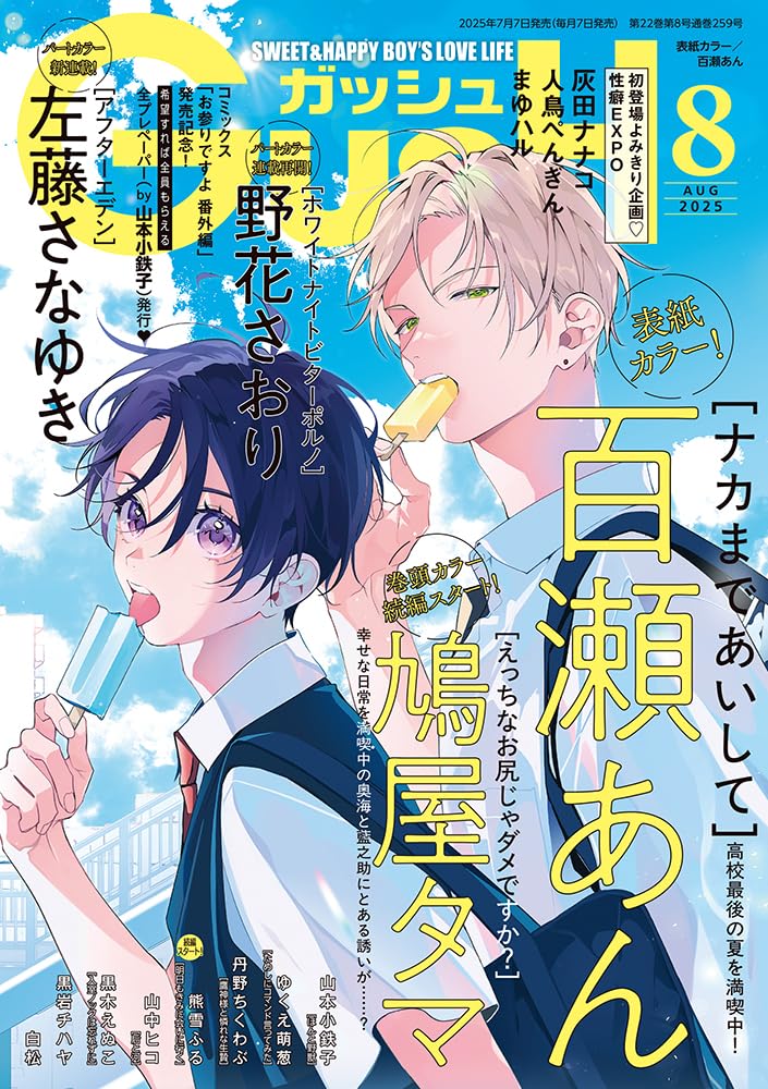 【中古】 ＧＵＳＨ　ｐｅ＾ｃｈｅ ｖ．３０/海王社/アンソロジー 中古】 GUSH pe＾che v．30/海王社/アンソロジー