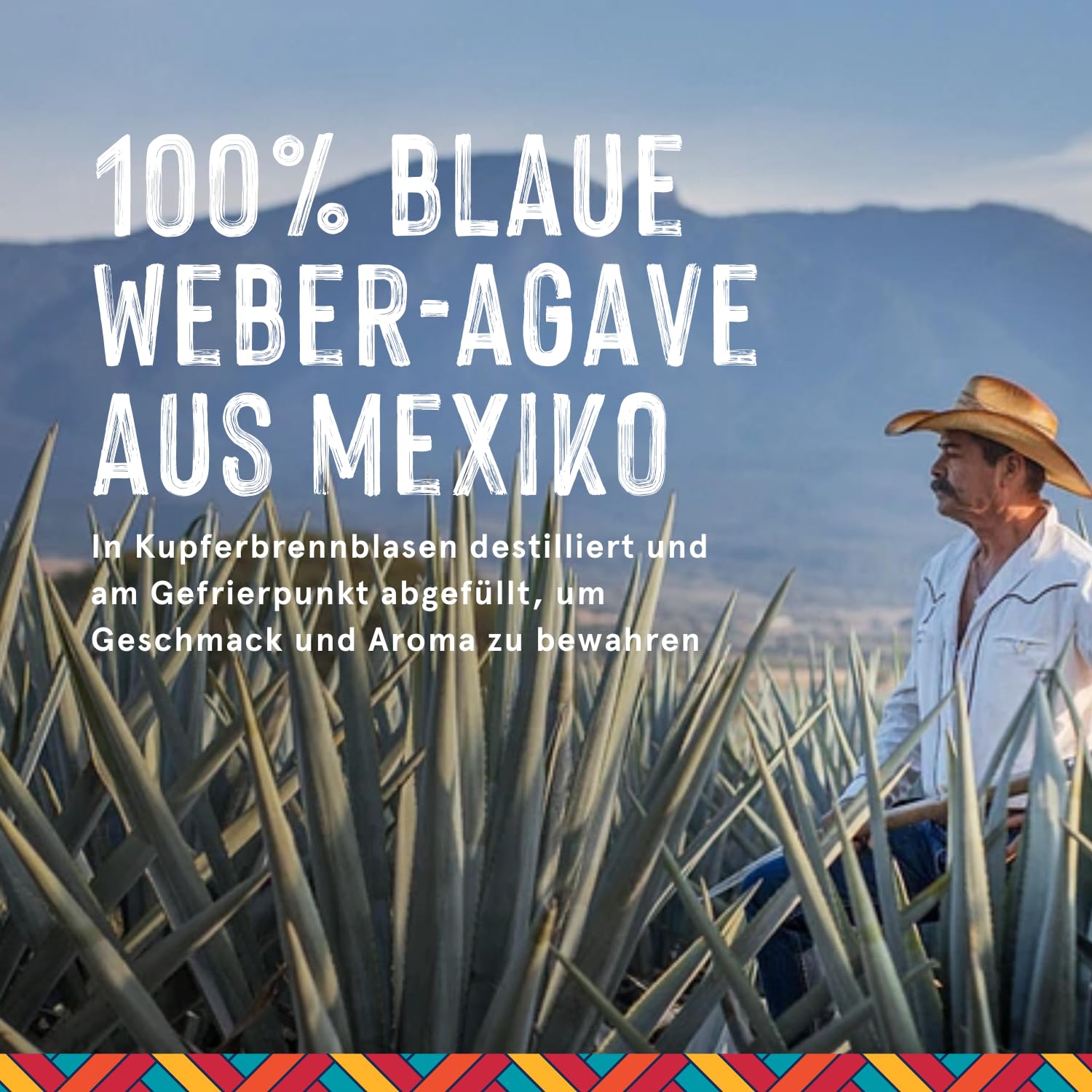 Jose Cuervo Tradicional Silver Tequila (1 x 0.7 l)