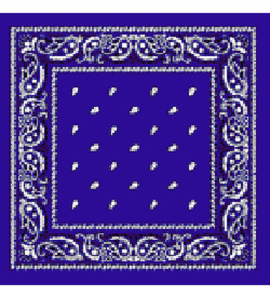 Blue Bandanna - Paisley
