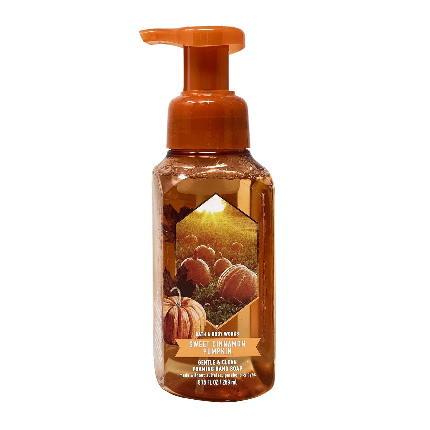 Bath & Body Works Sweet Cinnamon Pumpkin 4 Pack Gentle Foaming Hand Soap Bundle with a Natural Oats Sample Soap