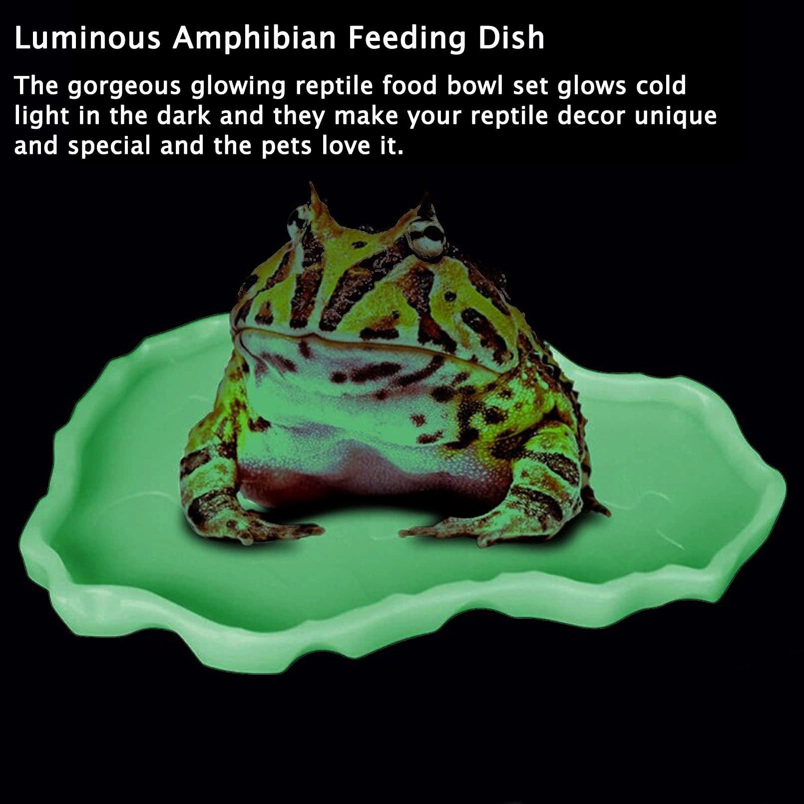 Alimentador de tortugas para alimentos y agua, para reptiles, platos grandes y pequeños de plástico, para un conjunto para lagarto, camaleón, Iguana, serpiente Gecko 2 unidades